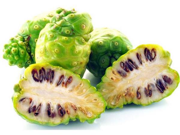 Mua trà trái nhàu ở đâu