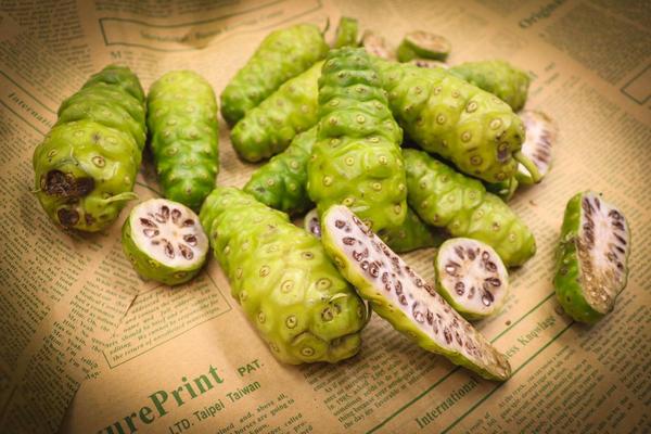 Mua trà trái nhàu ở đâu