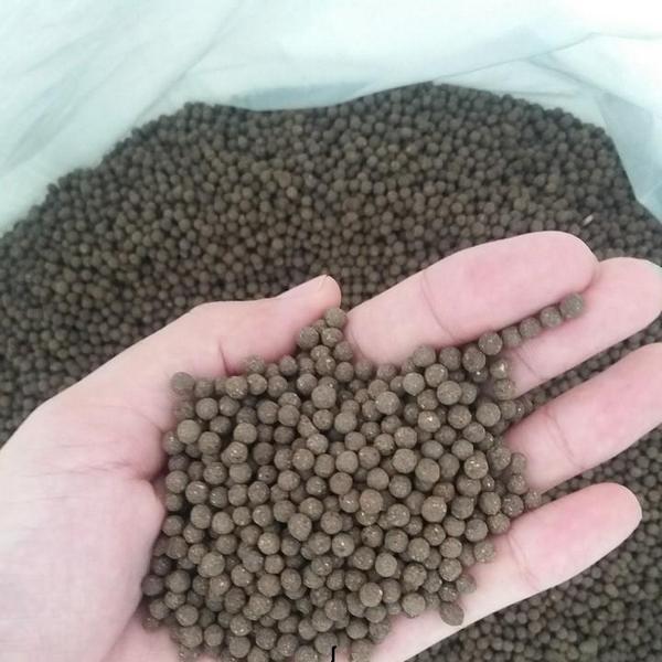 mua viên nhàu ở đâu