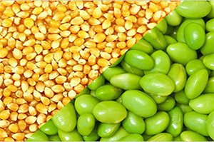 Người Việt chi 1 tỷ USD nhập khẩu nông sản: Thất thủ trên sân nhà?