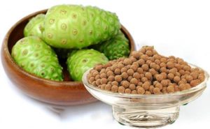 CÁC THÀNH PHẦN CỦA VIÊN NHÀU