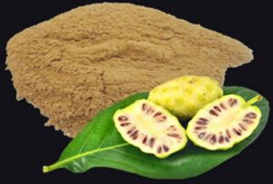 MUA BỘT NHÀU Ở ĐÂU? ĐỊA CHỈ BÁN SỈ LẺ BỘT NHÀU CHẤT LƯỢNG NHẤT