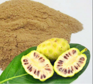 Giá bán bột trái nhàu trên thị trường hiện nay là bao nhiêu?