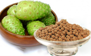 Mua bột trái nhàu ở đâu? Thông tin bổ ích dành cho bạn